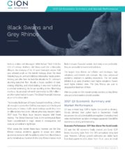 Icon of CION-Q4-2021-Market-Outlook Black Swans And Grey Rhinos