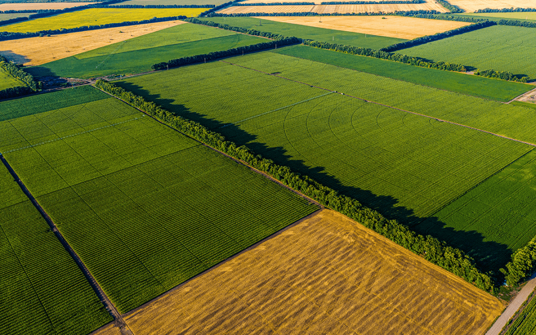 Is the Market Ripe for Investing in Farmland?